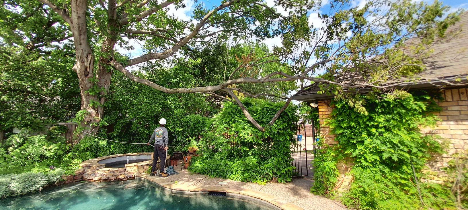 Tree service crew working in Lewisville Texas